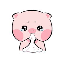 pig piggy cute sad crying