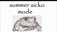 a black and white drawing of a frog with the words summer sicko mode above it