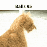 Balls 95 GIF