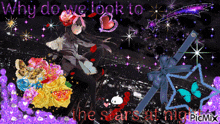 why do we look to the stars at night written on a black background