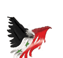 syrian eagle