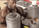a man is lifting dumbbells in a gym while sitting on a bench .