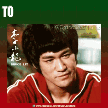 Bruce Lee Martial Artist GIF - Bruce Lee Martial Artist Legend GIFs