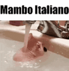 Mambo Italiano GIF - Mambo Italiano Mambo Italiano GIFs