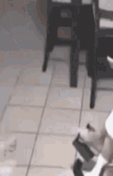 a cat is standing on a tiled floor next to a stool .