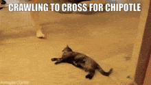 Cross Crawl GIF - Cross Crawl GIFs