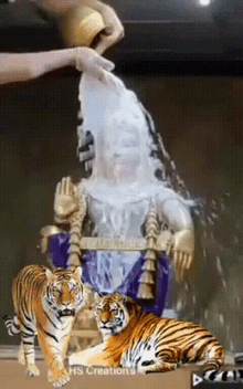 ayyappa swami milk tiger