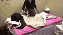 Cat Massage GIF - Cat Massage Chill GIFs