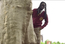 a man in a maroon sweater is standing next to a large tree
