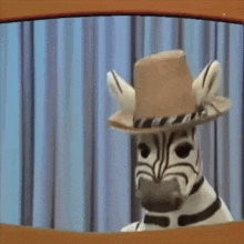 a stuffed zebra wearing a cowboy hat and holding a piece of paper .