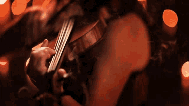eksperimentel Memo Langt væk Playing Violin Taylor Davis GIF - Playing Violin Taylor Davis Leaves From  The Vine - Discover & Share GIFs