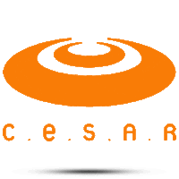 Cesar Sticker