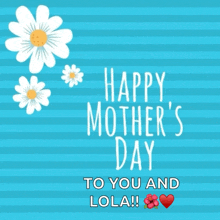 a blue striped background with white daisies and the words " happy mother 's day to you and lola "