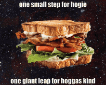 sandwich hoagie