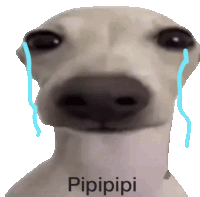 Dog Pipipi Pipipi Sticker - Dog Pipipi Pipipi Pipipipi Stickers