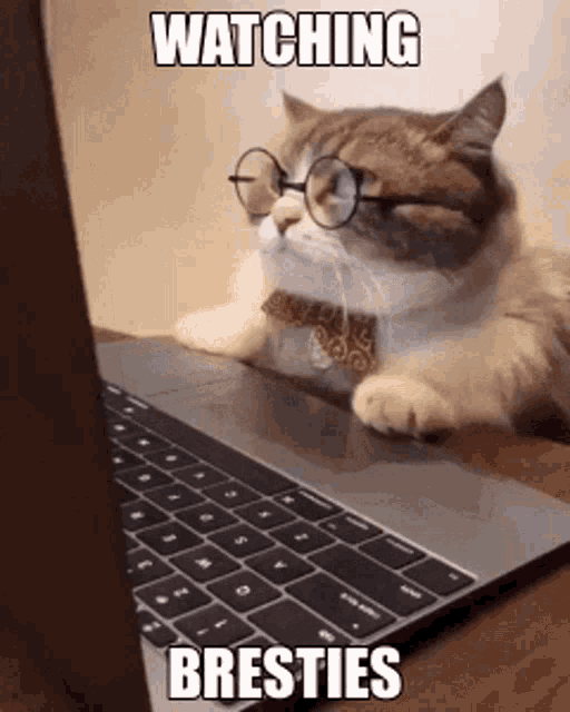 Bresties Binge GIF - Bresties Binge Watching - Discover & Share GIFs Bresties Binge GIF - Bresties Binge Watching - Discover & Share GIFs
