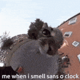 a raccoon is standing in front of a building with a caption that says `` me when i smell sans a clock ''