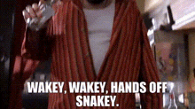 Wakey Wakey Hands Off Snakey GIF - Wakey Wakey Hands Off Snakey Ready To Rumble GIFs