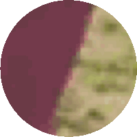 a pixelated image of a circle with a purple half and a green half