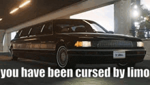 a black limousine is parked under a bridge with the words `` you have been cursed by limo '' .