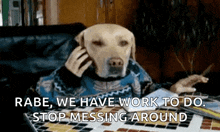 dog working phone writing business