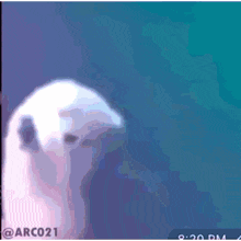 a picture of a bird with the time of 8:20 pm on the bottom