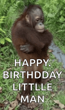 a picture of an orangutan hugging another orangutan with the caption happy birthday little man