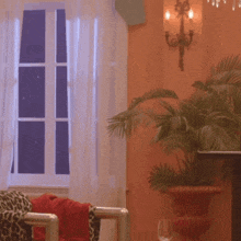 a room with a window and a plant in a vase