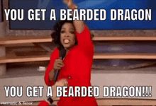 Beardy Bearded Dragon GIF