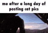Cat Cats GIF - Cat Cats Me After A Long Day GIFs