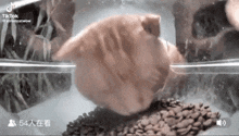 Sad Cat GIF - Sad Cat Eating GIFs