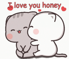 a cartoon of two cats hugging with the words i love you honey