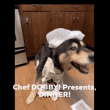 Chef Dog GIF - Chef Dog Dinner GIFs
