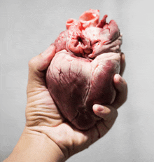 a hand is holding a bloody heart in its palm