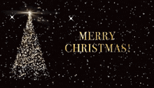 Merry Christmas To You And Your Family GIF - Merry Christmas To You And Your Family Merry Christmas GIFs