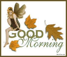 Good Morning Morning GIF - Good Morning Morning Fairy GIFs