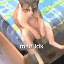a cat is sitting on a bed with its legs crossed and a caption that says `` man idk '' .