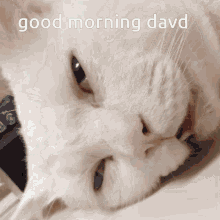 David Good Morning David GIF - David Good Morning David Good Morning GIFs