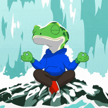 a frog in a blue hoodie sits on a rock with his eyes closed