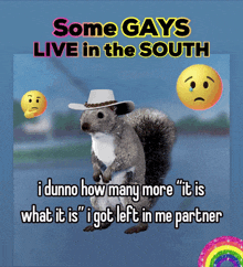 a squirrel wearing a cowboy hat with the words some gays live in the south