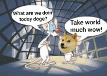 Dogecoin Meme GIF - Dogecoin Meme GIFs