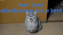 Komolika Uwu GIF - Komolika Uwu Utrechtenaar GIFs