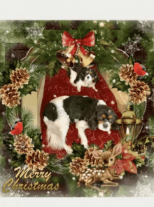 Merry Christmas Blessings GIF - Merry Christmas Blessings Time GIFs