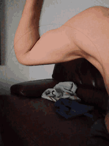 Big Biceps GIF - Big Biceps GIFs