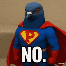 a pigeon dressed in a superman costume with the word no on it