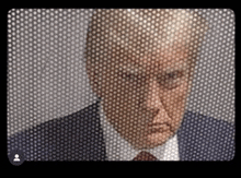 Trump Mugshot GIF - Trump Mugshot GIFs