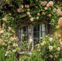 Window Cottagecore GIF - Window Cottagecore Flowers GIFs