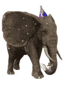 Elephant Party GIF - Elephant Party GIFs