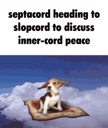 Septacord Slopcord GIF - Septacord Slopcord Puppy GIFs