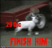 Merlucio Finish Him GIF - Merlucio Finish Him Dog GIFs